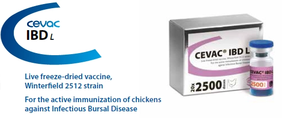CEVAC® IBD L