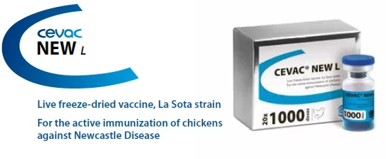 CEVAC® NEW L