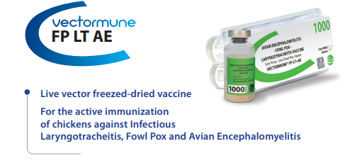 VECTORMUNE® FP LT AE