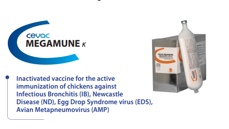 CEVAC® MEGAMUNE K