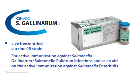 CEVAC® S. GALLINARUM